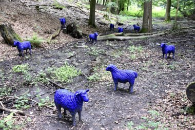 Bad Iburg Parkı 'nda mavi boyalı koyun. Osnabrck, Almanya. 12 Haziran 2018. 