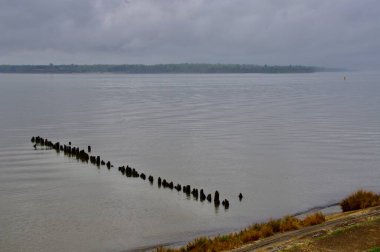 James Nehri 'ndeki ahşap bir iskelenin kalıntıları. Jamestown, VA, ABD. 14 Nisan 2015. 