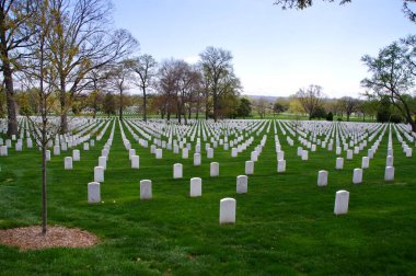 Washington, DC, ABD. 17 Nisan 2015. Arlington Ulusal Mezarlığında Askeri Mezarlar.