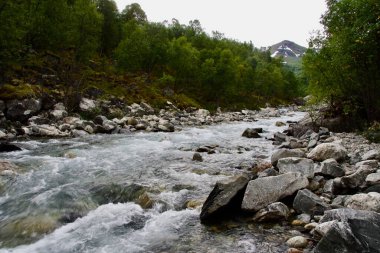 Aurlandsfjellet 'te (Kar Yolu) ağaçlı ve dağlı Muhteşem Rocky Nehri Sahnesi. 