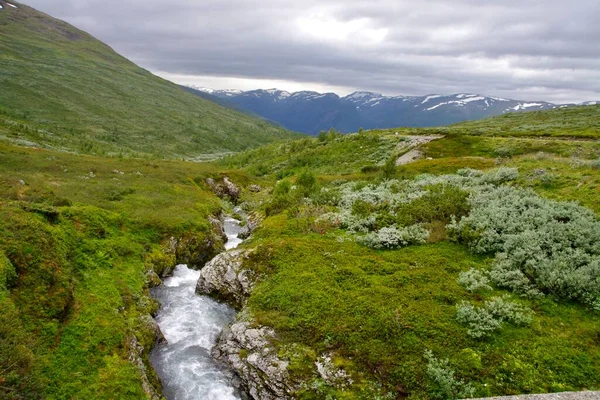 Spektakulära Rocky River Landskap Med Träd Och Berg Aurlandsfjellet Snövägen — Stockfoto