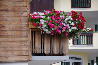 Avusturya 'nın Sll kentindeki geleneksel ahşap bir tirol evinin balkonunda parlak renkli çiçekler..