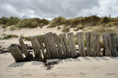 Normandiya, Fransa 'da Utah Sahili' nde güneş, tahta çitleri beyazlattı. Arkaplanda kum tepeleri.