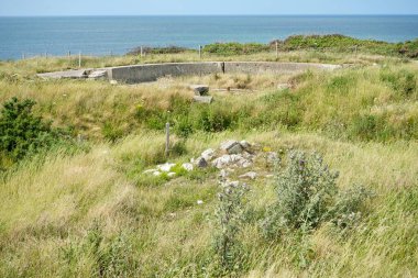 Çimenler ve çalılıklarla çevrili kraterlerin arasında Alman silah mevzilerinin kalıntıları. Pointe du Hoc, Fransa, 3 Temmuz 2023. 