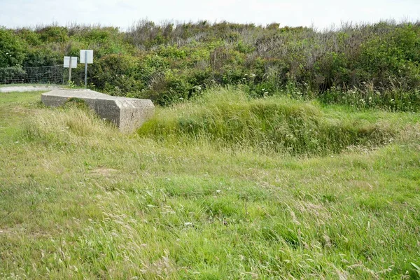 Çimenler ve çalılıklarla çevrili kraterlerin arasında Alman silah mevzilerinin kalıntıları. Pointe du Hoc, Fransa, 3 Temmuz 2023. 