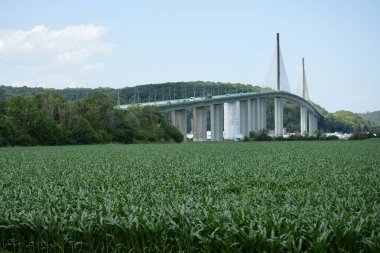 Sen Nehri üzerindeki Pont De Brotonne nehri. 1977 'de inşa edilmiş kablo destekli bir köprü. Caudebec-en-Caux, Fransa, 7 Temmuz 2023. 