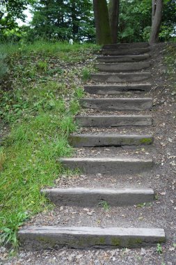 Derbyshire, İngiltere 'de bir orman yürüyüşünde Rustik tahta adımlar.