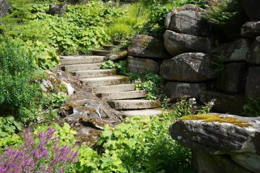 Rustic Stone, İngiltere 'de Derbyshire Tepesi' nde kayalık bir orman yürüyüşüne çıktı.. 