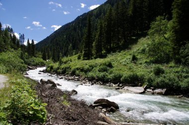 Krimmler Ache nehri, Krimmml Warterfalls yakınlarında, ağaçlar ve mavi gökyüzüyle. Krimmml, Avusturya, 31 Temmuz 2013. 