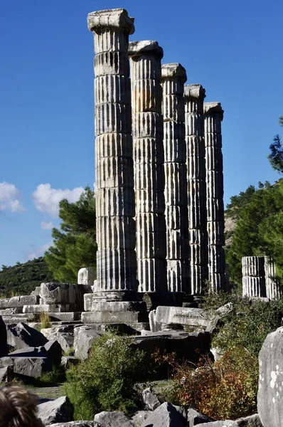 Oude Zuilen Tempel Van Athena Polias Van 350 330 Chr — Stockfoto
