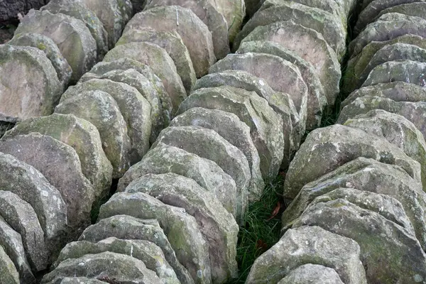 Rzędy Kamieni Nasadowych Ścian Drystone Derbyshire Anglia — Zdjęcie stockowe