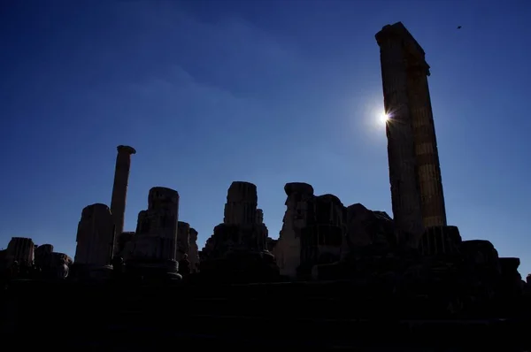 古老的柱子占据着古代迪迪玛阿波罗神殿的废墟 Didim Aydn Trkiye November 2014 — 图库照片