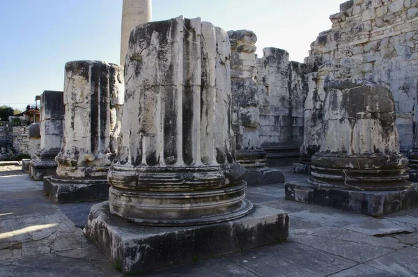 Didim Aydn Trkiye Novembre 2014 Fond Colonne Aux Ruines Temple — Photo