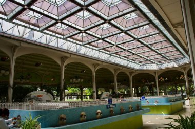 Hall des Sources 'daki Vichy Su Kaynağı. Vichy, Fransa, 16 Ağustos 2012. 