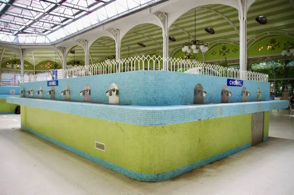 Hall des Sources 'daki Vichy Su Kaynağı. Vichy, Fransa, 16 Ağustos 2012. 