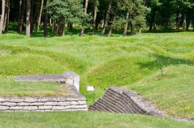 Vimy Ridge Savaş Alanındaki 1. Dünya Savaşı siperlerinin kalıntıları. Vimy, Fransa, 19 Ağustos 2012. 