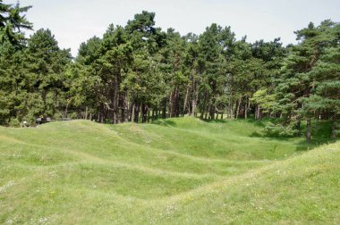 Vimy Ridge Savaş Alanındaki deniz kabuğu izli arazi. Vimy, Fransa, 19 Ağustos 2012. 