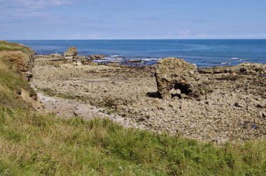 Rocky Northumberland Plaj Sahnesi, Whitburn, Sunderland, İngiltere