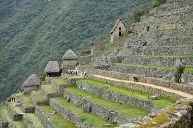 Machu Picchu, Peru 'daki Antik 15. yüzyıl İnka kalesinde teraslar, 6 Ekim 2023. 
