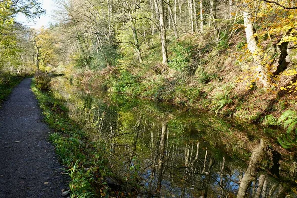 İngiltere 'nin Derbyshire kentindeki Cromford Kanalı' nın yanındaki patika. Sakin sulara yansıyan sonbahar renklerine sahip ağaçlar. 