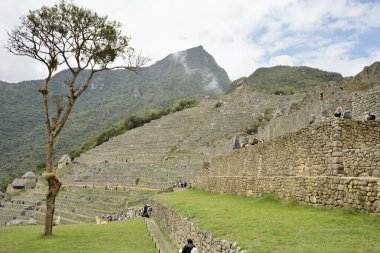 Machu Picchu, Peru 'daki Antik 15. yüzyıl İnka kalesinde teraslar, 6 Ekim 2023. 