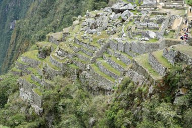 Yukarıdaki yamaçtan Machu Picchu alanına bakıyor. Machu Picchu, Peru, 6 Ekim 2023. 