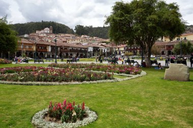 Plaza Belediye Başkanı de Cusco 'da (Cusco Meydanı) bitki ve çiçekler. Cusco, Peru, 7 Ekim 2023. 