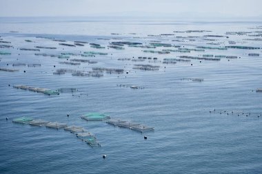Titicaca Gölü 'ndeki balık kafesleri. Puno, Peru, 9 Ekim 2023.