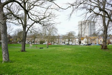 Çimenler ve ağaçlarla sıkça görülür. Plumstead, Londra, İngiltere, 16 Mart 2024. 
