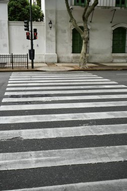 Zebra, arkasında binalar olan bir yoldan karşıya geçiyor. Buenos Aires, Arjantin, 22 Ekim 2023. 