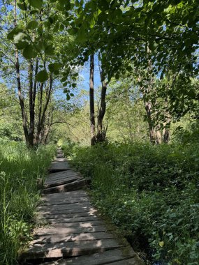 Kırsal, hasarlı ahşap bir patika.. 