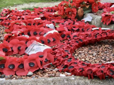 Haşhaş çelenkleri yere düştü. Somme, Fransa, 15 Ağustos 2006. 