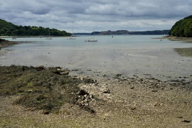 Uzakta Carrick Roads ve Mylor Churchtown ile Trelissick Gardens Plajı. Trelissick, Cornwall, İngiltere. 21 Temmuz 2024. 