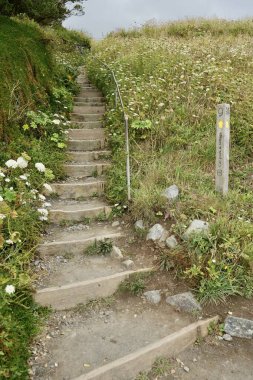Güney Batı Yakası Yolu 'ndaki kırsal ahşap merdivenler ve yön direği. Kertenkele, Cornwall, İngiltere, İngiltere. 21 Temmuz 2024. 
