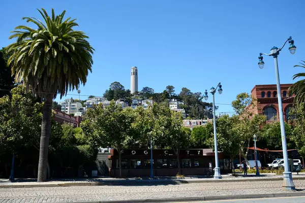 stock image Coit Tower viewed from The Seafront with trees and streetlamps. San Francisco, California, USA. September 5, 2024. 