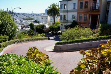 Lombard Caddesi 'nin aşağısında, dünyanın en çarpık caddesi. San Francisco, Kaliforniya, ABD. Eylül 2024. 