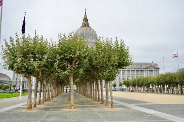 San Fransisco Belediye Binası 'nın dışındaki ağaçlar. San Francisco, Kaliforniya, ABD. Eylül 2024. 