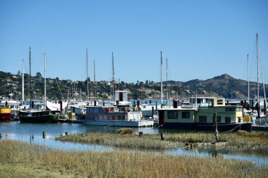 Sausalito, California, ABD 'de Eylül 2024' te mavi bir gökyüzünün altında demirlemiş yüzen yüzen evler.. 