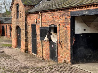 Typical cobbled farm yard with a horse in the stable at Elvaston Castle, Elvaston, Derby, England, UK. December 2024.  clipart