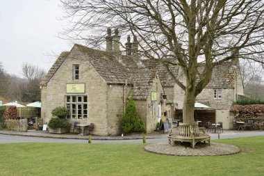Yeşil çay odasında, dışarıda ağaç ve ahşap bir bank var. Bolton Abbey, Skipton, İngiltere, İngiltere. Mart 2025. 