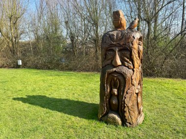 Willington Marina 'daki Yeşil Adam' ın oyulmuş ahşap heykeli. Willington, Derby, İngiltere. Mart 2025. 