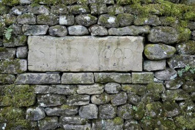Taş duvardaki çizgili ağaçlar için taş tabela. Bolton Abbey, Skipton, İngiltere. Mart 2025. 
