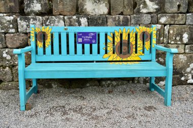 The Chatty Bench, Bolton Abbey, Skipton, İngiltere 'de arkasında taş duvar olan renkli ahşap bir koltuk. 21 Mart 2025. 