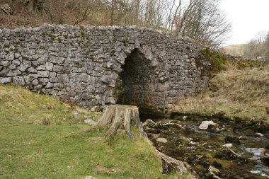 Kuzey Yorkshire Dales, İngiltere 'deki Clapham Beck üzerinde eski taştan bir köprü.