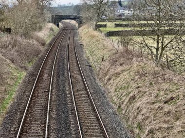 Köprünün altından geçen demiryolu hatları ve yakınlardaki tarlada koyunlar. Long Preston, Kuzey Yorkshire, İngiltere, İngiltere. Mart 2025. 