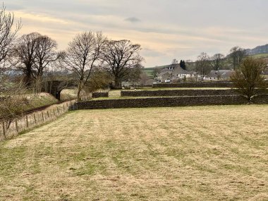 Kuru taş duvarlı tarlalar ve demiryolu hattını ve köprüyü gören koyunlar. Long Preston, Kuzey Yorkshire, İngiltere, İngiltere. Mart 2025. 
