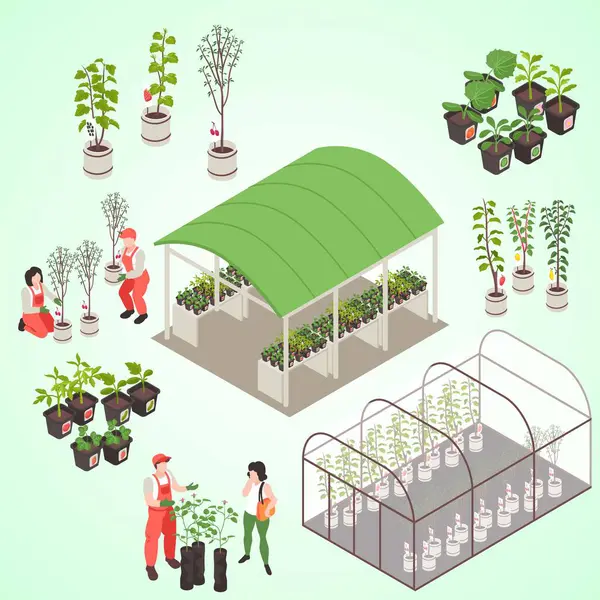 人々と温室 フラットデザインスタイルの植物のイラスト ベクターイラスト — ストックベクタ