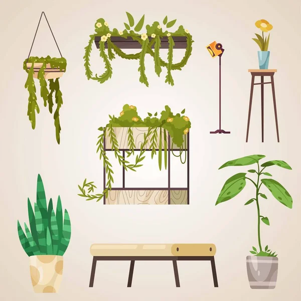 Belső Kialakításra Bútorokra Növényekre Szolgáló Növénykészlet Vektor Illusztráció — Stock Vector