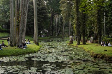 Parkta güzel bir göl manzarası