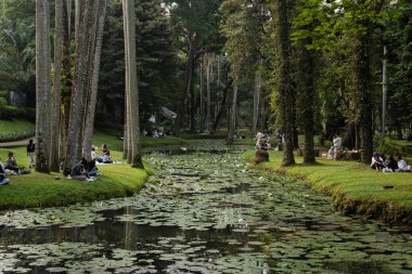 Parkın güzel manzarası